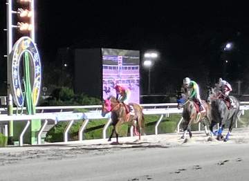 【地方競馬】オマツリオトコが園田・摂津盃で重賞2勝目 吉原寛は兵庫所属馬で2日連続重賞V