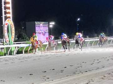 【地方競馬】ミスズグランドオーが兵庫ゴールドカップを制し重賞3勝目