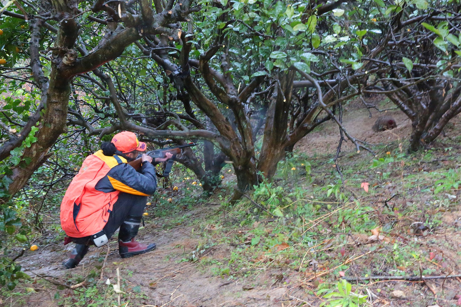 猟師である店主（自らが捕獲から解体、調理に携わる／画像提供：Gumption合同会社