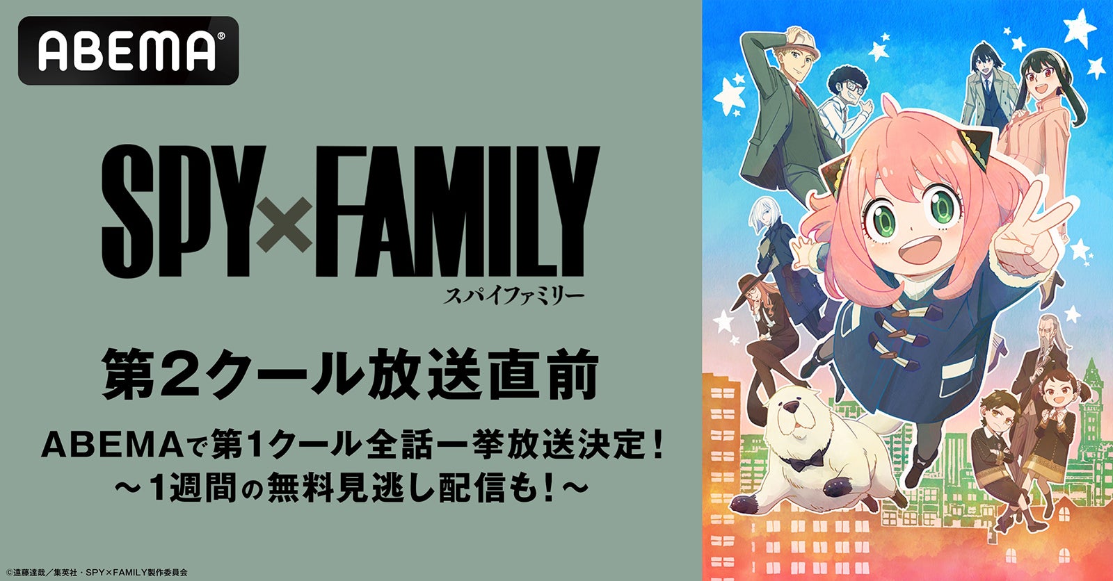 Spy Family 第1クール全話一挙放送 1週間無料配信決定 モデルプレス