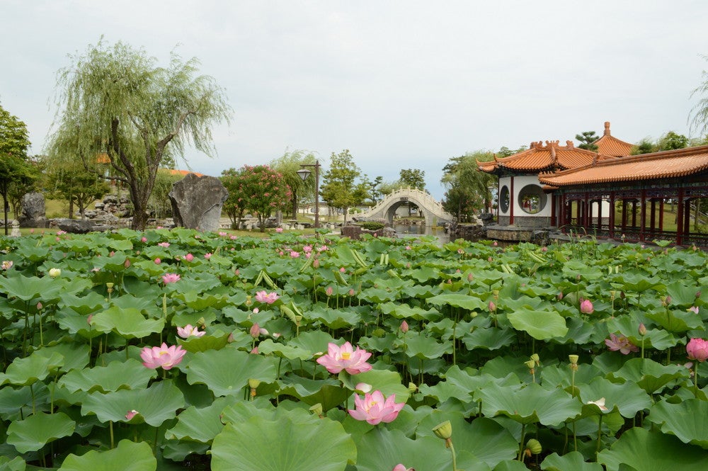 見る角度や季節によってその美しさが変わる庭園。（提供画像）