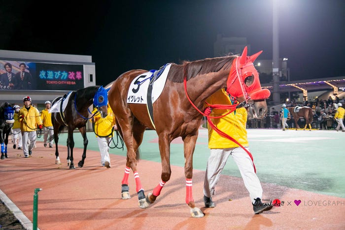 28日放送の「カワイイジャパンダ」より(写真提供:MBS)