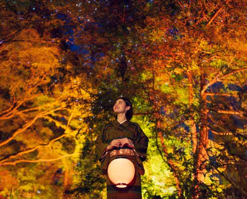「NAKED紅葉の新宿御苑2023」都会の紅葉ライトアップを提灯片手に巡る “日本の秋”感じる飲食メニューも