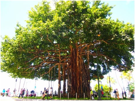 舞川あいく作品