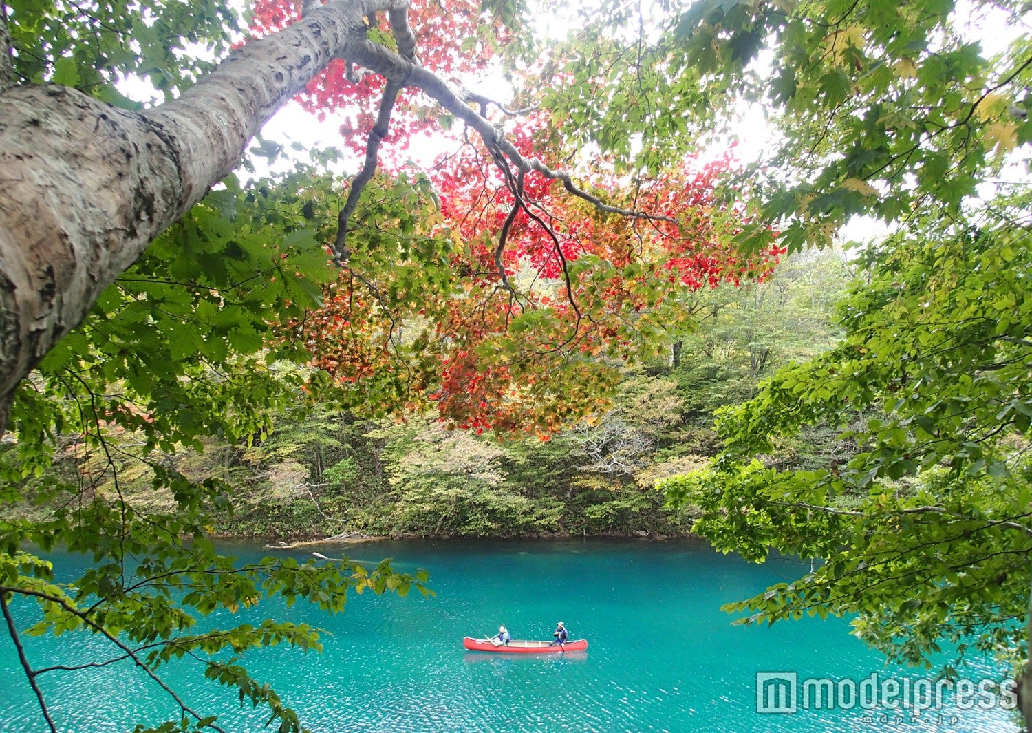 “紅葉列車”に水上バスも！乗り物で楽しむ秋の絶景4選