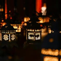 【11月は奈良へ】毎週末足を運びたくなる秋夜の催しをチェック