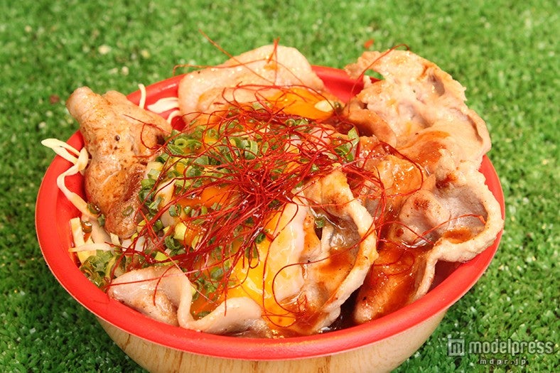 佐賀グルメ・マジェンバ／画像提供：九州観光推進機構