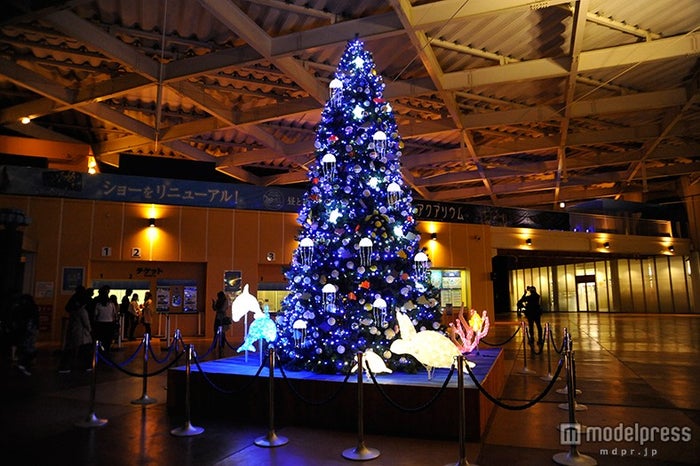 幻想的なクラゲ水槽に雪が舞う 新江ノ島水族館がクリスマスムード一色に 女子旅プレス