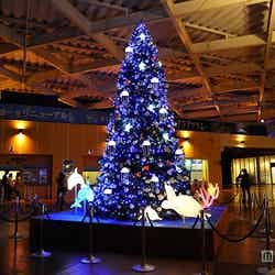 アクア・ツリー2015年度イメージ/画像提供:新江ノ島水族館