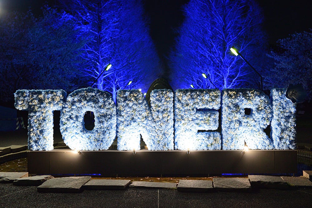 “ネモフィラの海”を美しくライトアップ、東京・舎人公園で春イルミ「花と光のムーブメント」