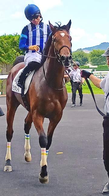【新馬戦】グランオギュール ハナ奪って快逃 荻野極は伸びしろを強調「まだ子どもですね」