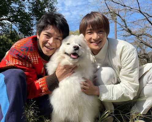 King & Prince岸優太「すきすきワンワン!」主題歌への思い語る 作曲担当・玉置浩二も絶賛「5人の歌声がとても心地よく…」