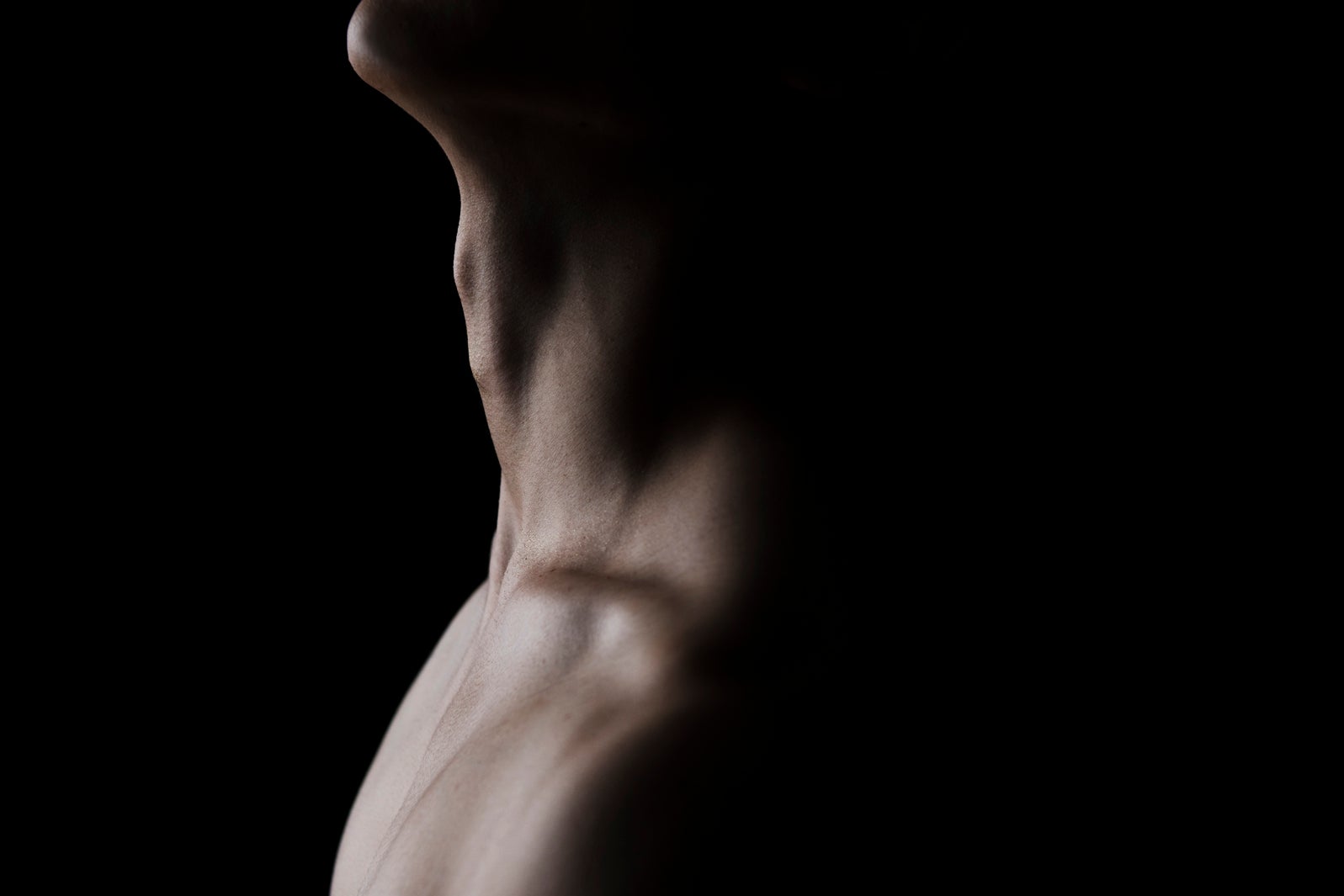 「文豪ノスタルジア 染谷俊之ｘ谷崎潤一郎 陰翳礼讃」より