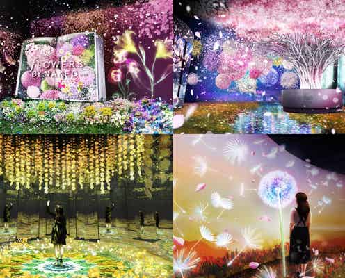 「FLOWERS BY NAKED 2020 ー桜ー」日本橋で開催、新作アートビジュアル公開