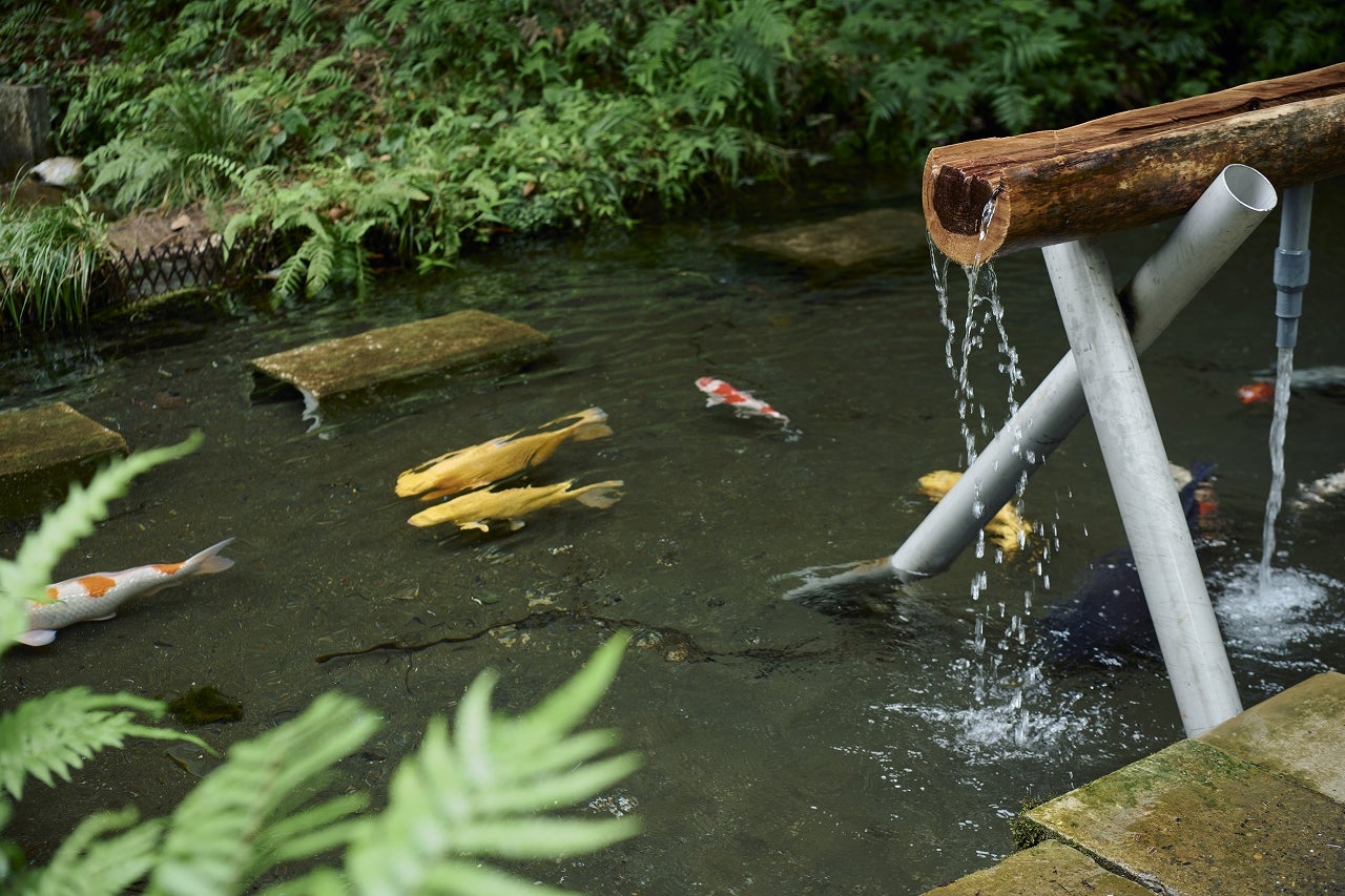 SATOYAMA TERRACE／提供画像