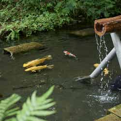 SATOYAMA TERRACE/提供画像