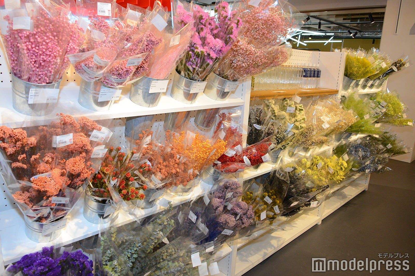 MONOTORY（C）モデルプレス