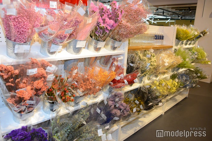 MONOTORY（C）ビューティーガール