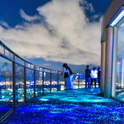 ルミ・スカイ・ウォーク/提供画像