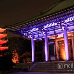 東長寺本堂・五重塔/画像提供:福岡市