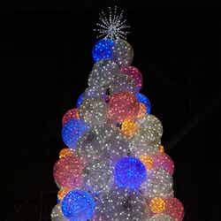 「夢を奏でる光のツリー ~See Your Dreams in the Shining Tree~」【モデルプレス】