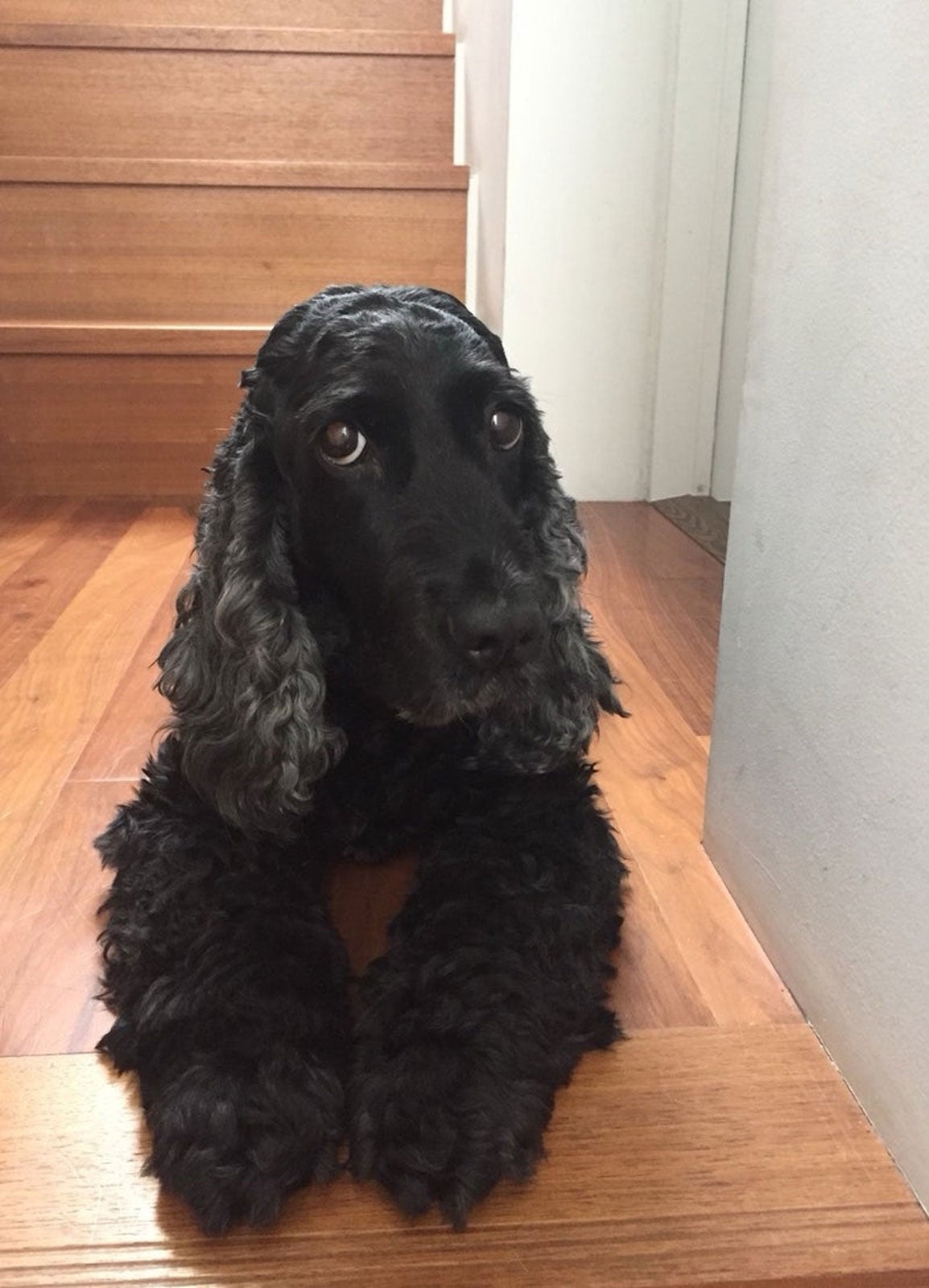 高橋克典オフィシャルブログ（提供写真）