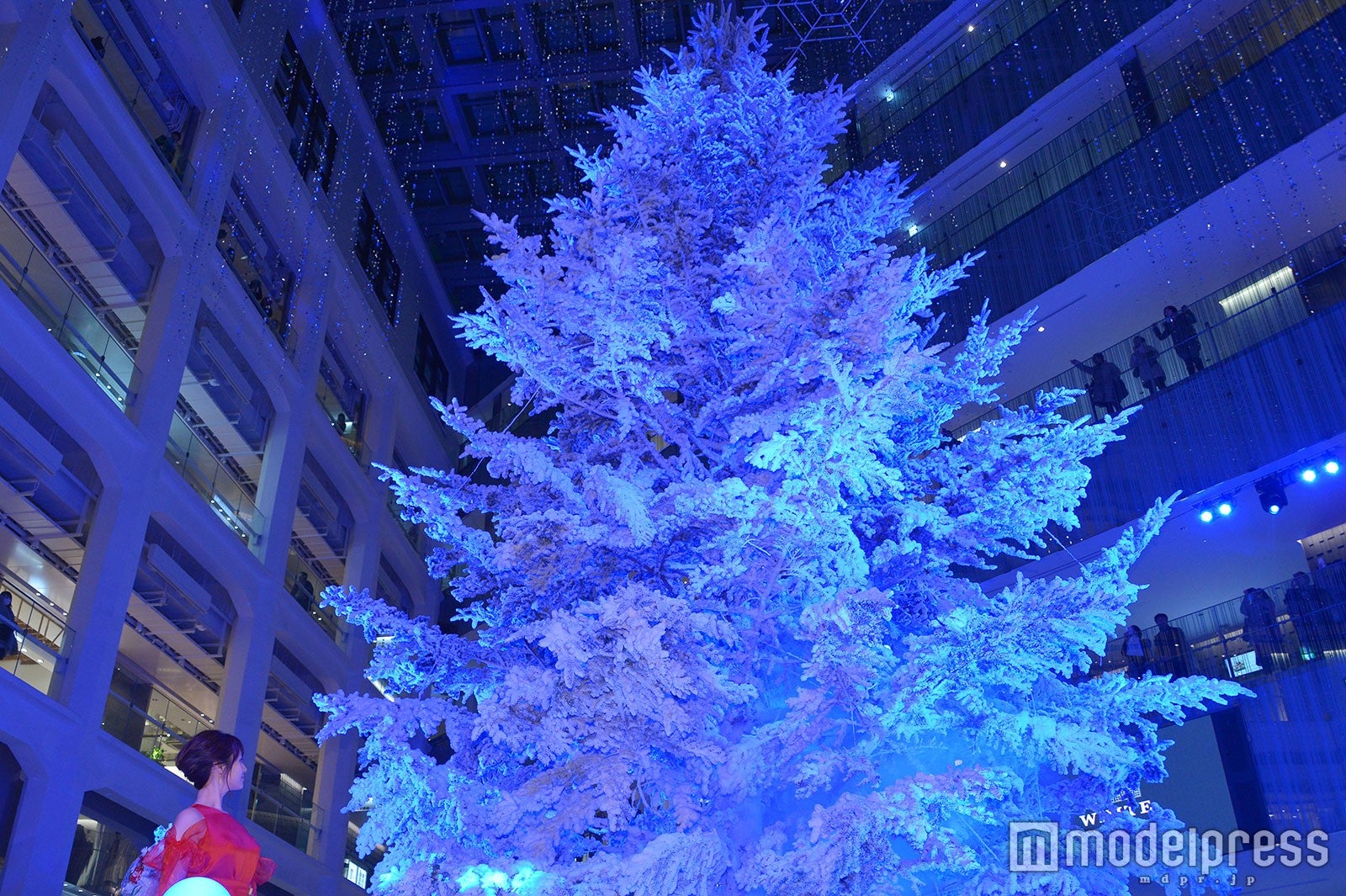 深田恭子（C）モデルプレス