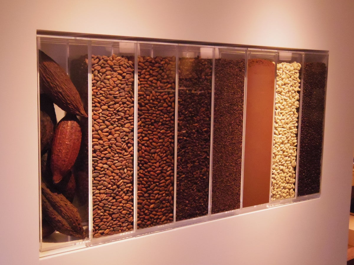 店内ディスプレイには本物のカカオがギッシリ（提供写真）