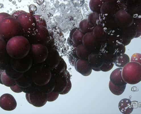 Sexy Zone、まさかのハプニング発生「すみません」