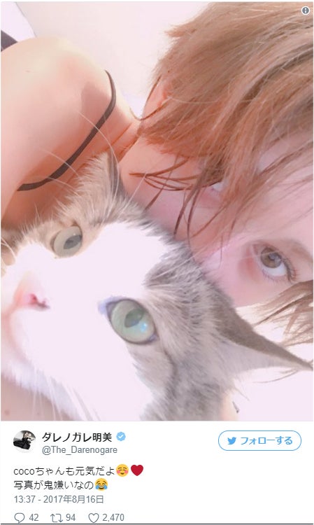 ダレノガレ明美、濡れ髪色っぽ姿で愛猫に“チュー”  「似てる」の声も