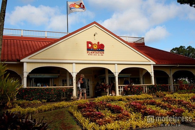 「Dole Plantaion」／photo by Prayitno / Thank you for (5 millions +) views