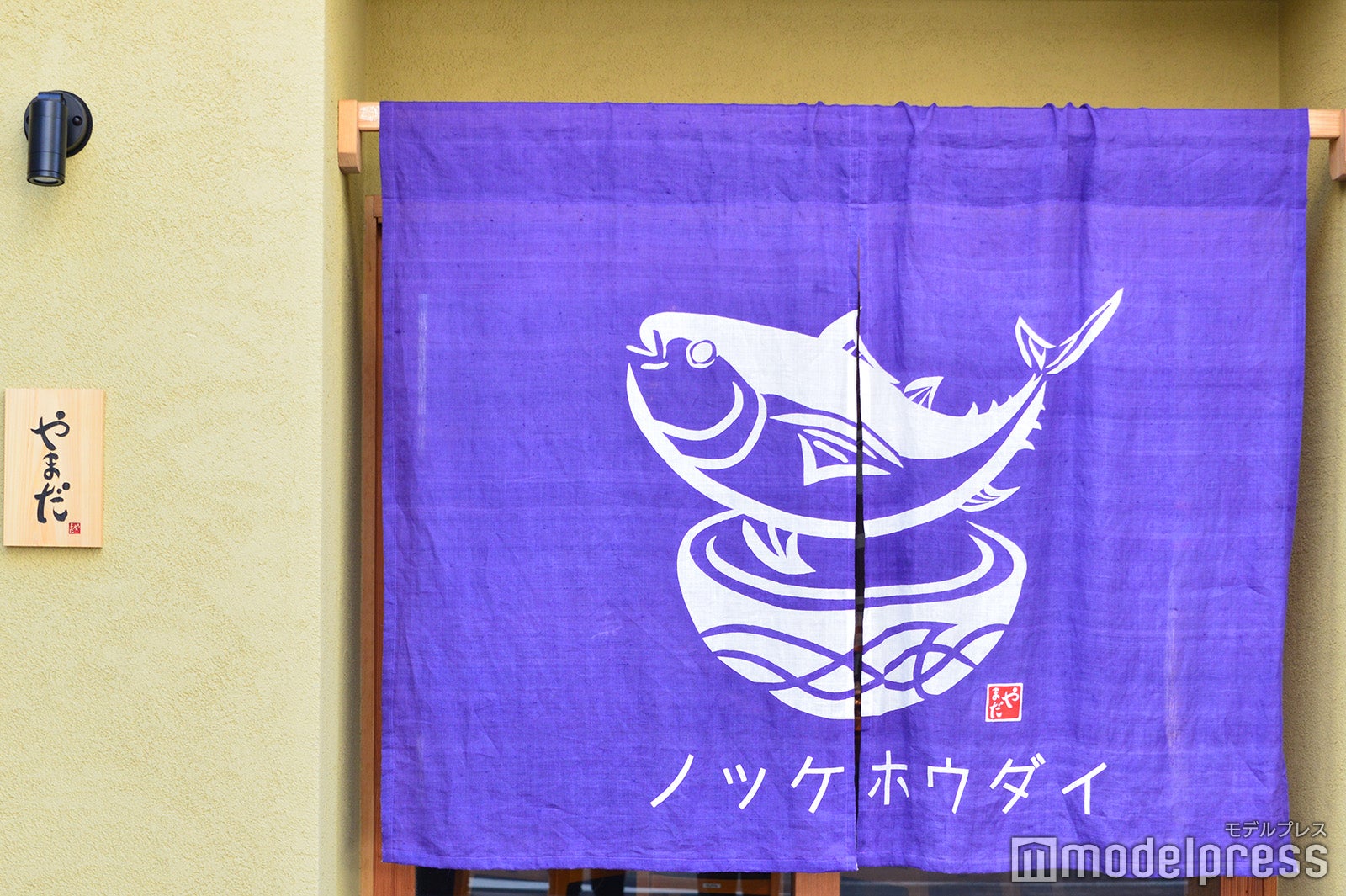 ノッケホウダイ（C）モデルプレス