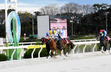 【地方競馬】園田ジュニアC 2番人気のゴッドフェンサーが直線強襲で重賞初勝利