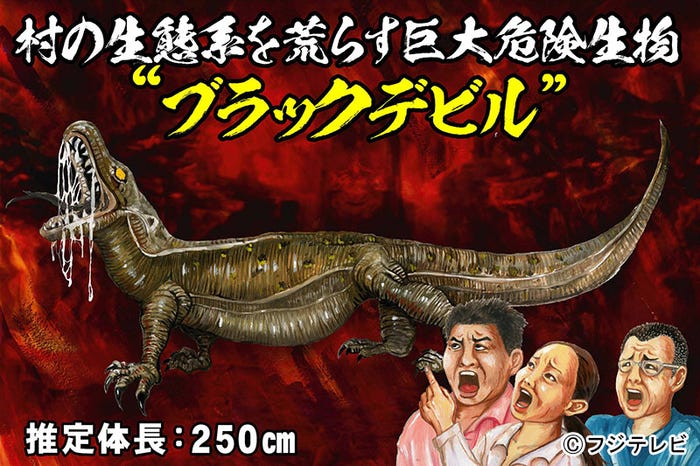 スペシャルバラエティー番組『おたすけJAPAN』(C)フジテレビ