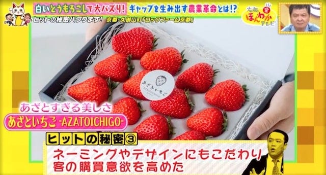 【京都・久御山町】全国から購入者が殺到!1日数千本も売れた「白いスイートコーン」とは?
