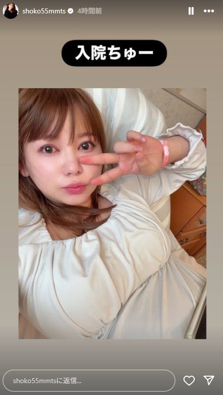 中川翔子Instagramストーリーズより