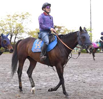 【マイラーズC】シックスペンス 転厩初戦で挑む重賞4勝目 田中博師「スピード負けはしないのかな」芝で反撃狙う