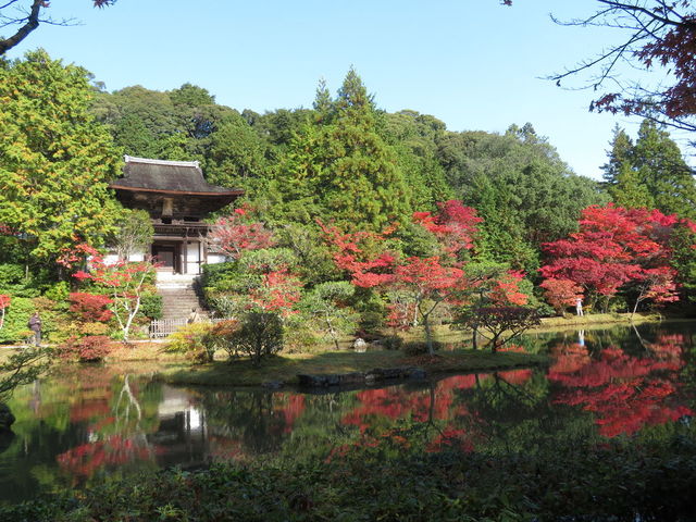 美しい庭園に一目惚れ…！地元の人が教える奈良の「紅葉スポット」