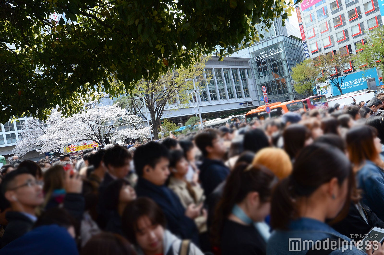 発表の瞬間、スマートフォンでチェックする人たち／4月1日撮影 （C）モデルプレス