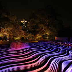 承天寺/画像提供:福岡市