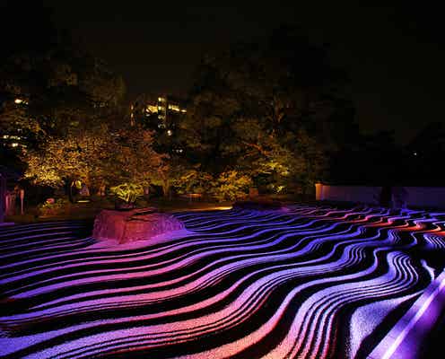 「博多ライトアップウォーク2016」歴史を紡ぐ13の寺社が美しくライトアップ