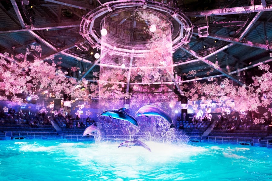SAKURA AQUARIUM by NAKED