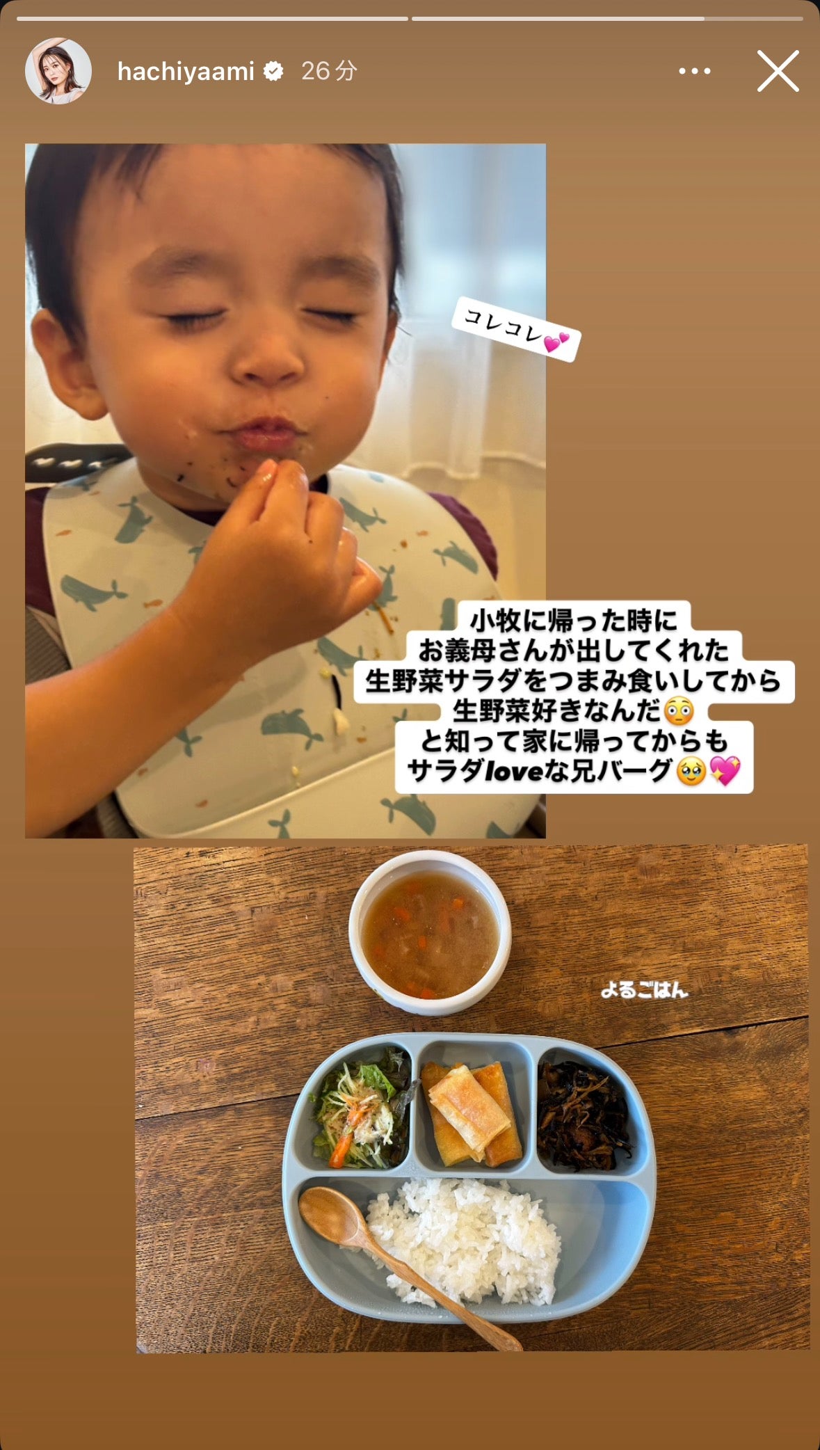 蜂谷晏海Instagramストーリーズより
