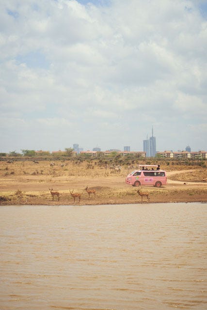「あいのり:African Journey」(C)フジテレビ