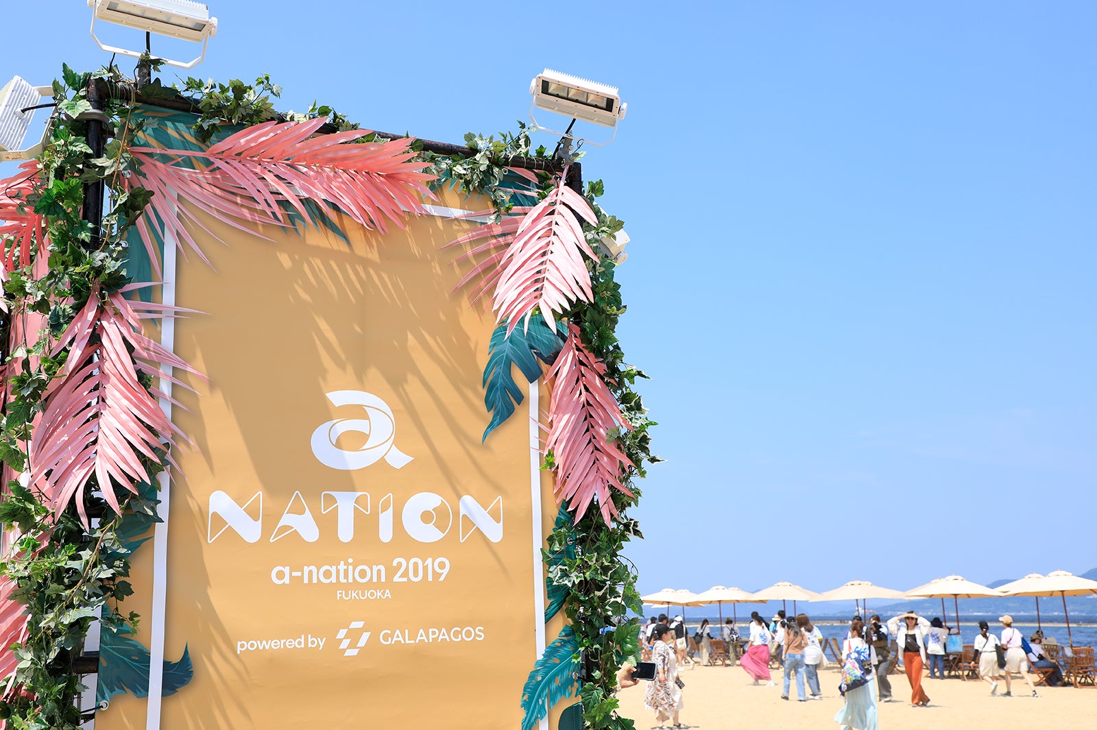 「a-nation 2019」福岡公演（画像提供：avex）