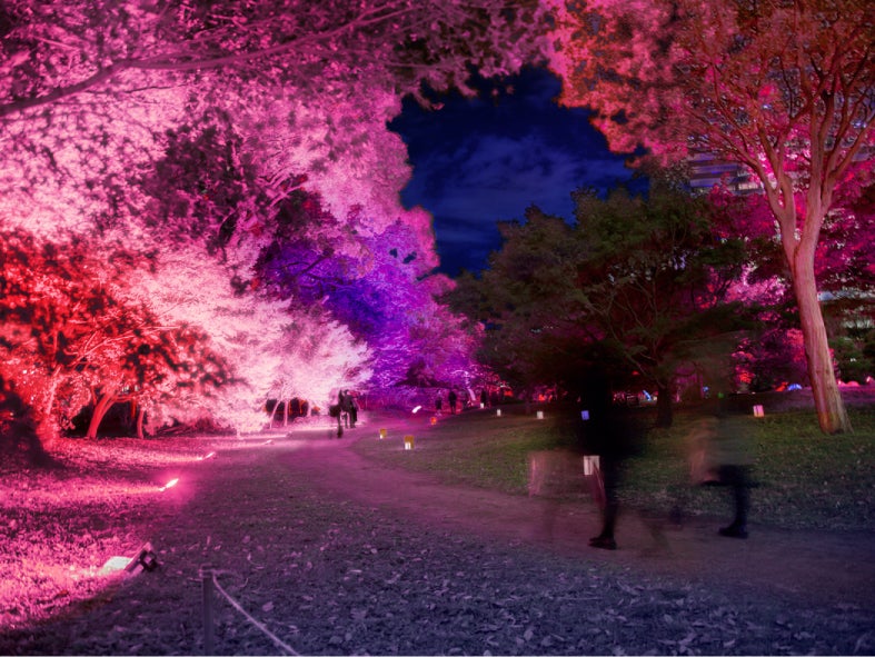 旧芝離宮夜会／画像提供：ワントゥーテン