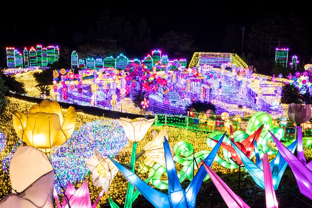 伊豆高原グランイルミ／画像提供：伊豆シャボテン公園