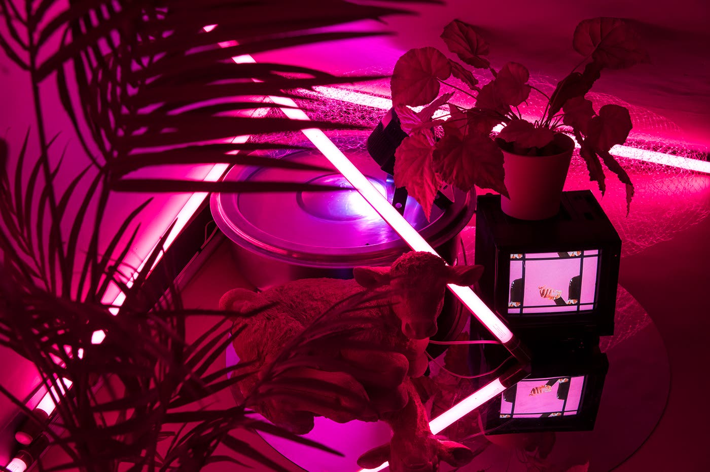 3F Room RGB(画像提供:avex)