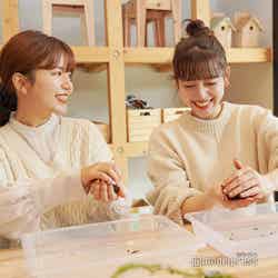 苔玉がひんやり気持ちいい(C)モデルプレス