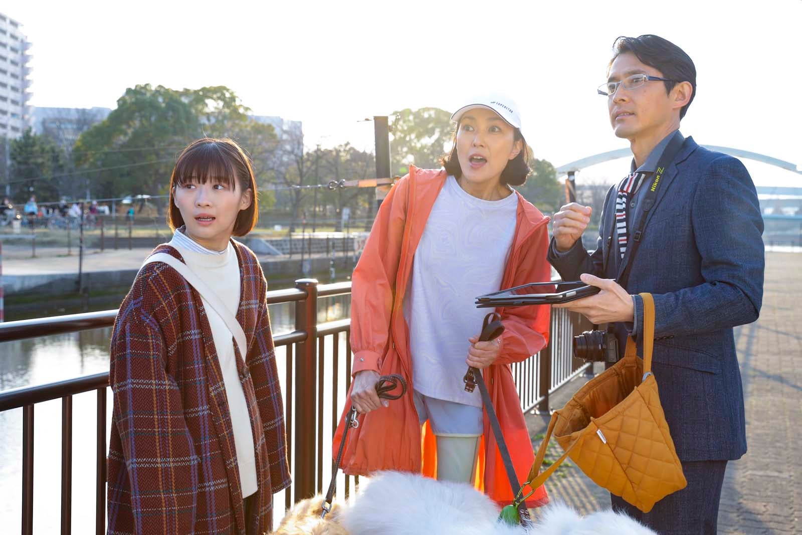 伊藤沙莉、板谷由夏ら「シッコウ！！～犬と私と執行官～」第7話より（C）テレビ朝日